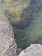 Creolen Gold mit Naturstein in weiß