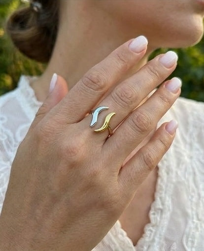 Ring Silber und Gold